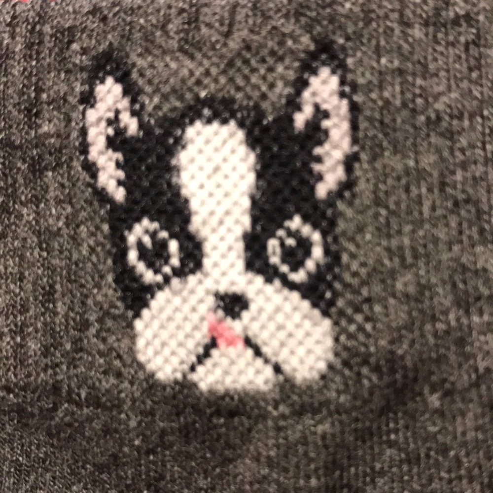 Korean women’s dog socks
